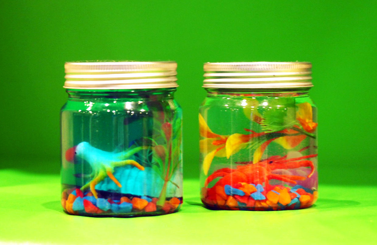 Ocean Discovery Jar